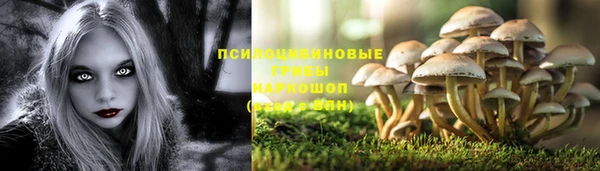 герыч Алексин