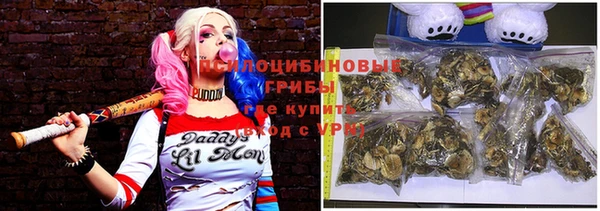 дживик Абинск